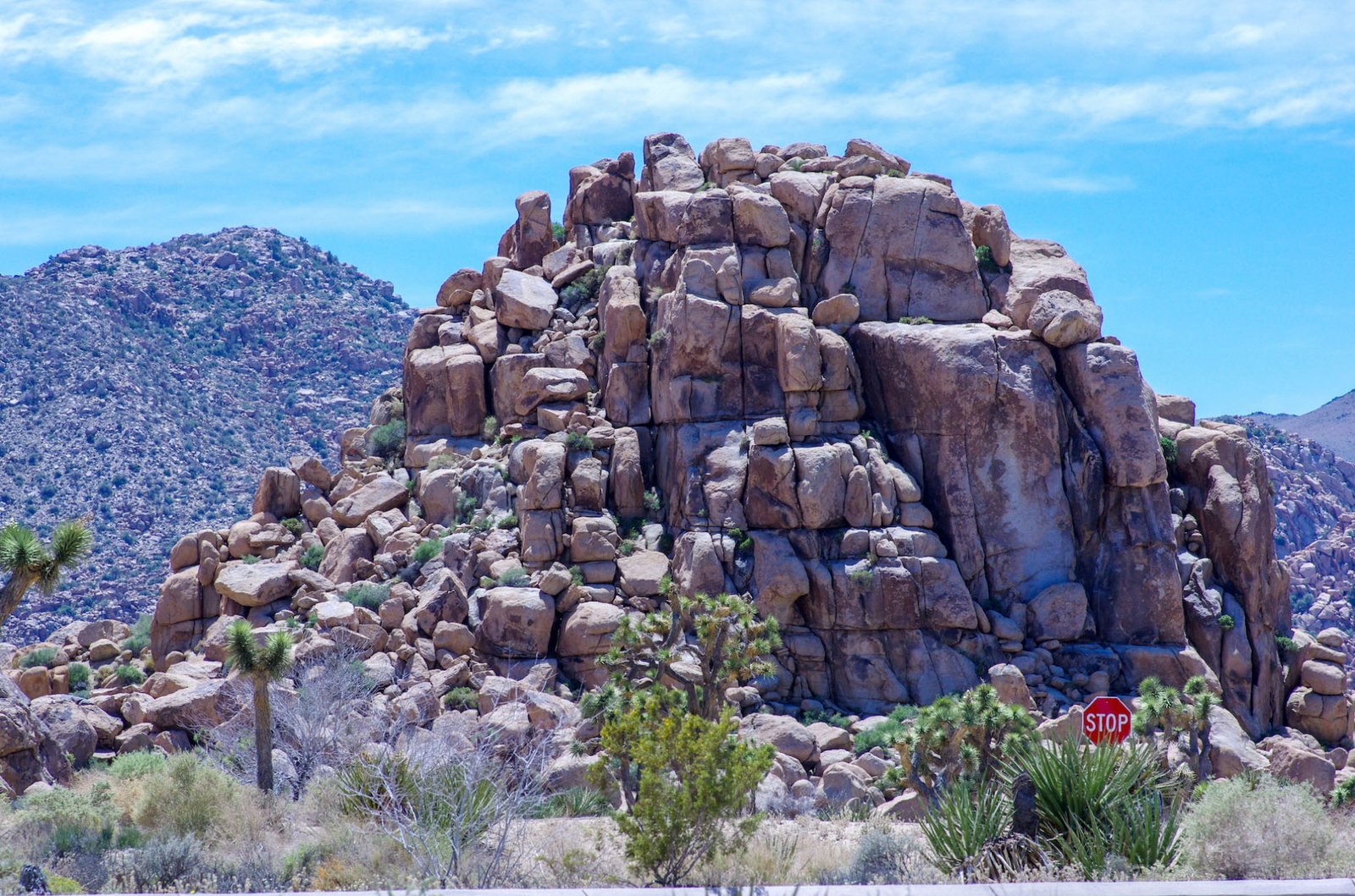 Joshua Tree 11